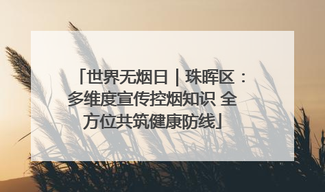 世界无烟日｜珠晖区：多维度宣传控烟知识 全方位共筑健康防线