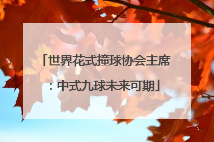 世界花式撞球协会主席：中式九球未来可期