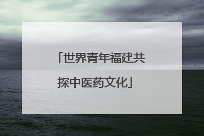 世界青年福建共探中医药文化