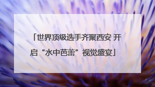 世界顶级选手齐聚西安 开启“水中芭蕾”视觉盛宴