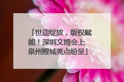世遗绽放，版权赋能！深圳文博会上 泉州鲤城亮点纷呈