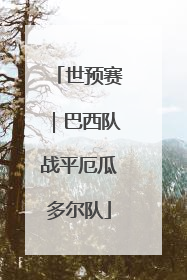 世预赛｜巴西队战平厄瓜多尔队