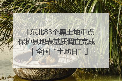 东北83个黑土地重点保护县地表基质调查完成｜全国“土地日”