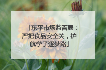 东平市场监管局：严把食品安全关，护航学子逐梦路