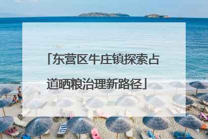 东营区牛庄镇探索占道晒粮治理新路径