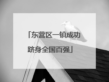 东营区一镇成功跻身全国百强