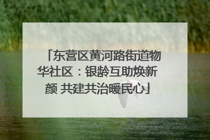 东营区黄河路街道物华社区：银龄互助焕新颜 共建共治暖民心