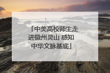 中美高校师生走进徽州灵山 感知中华文脉基底
