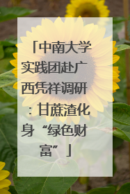 中南大学实践团赴广西凭祥调研：甘蔗渣化身“绿色财富”