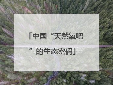 中国“天然氧吧”的生态密码