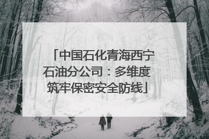 中国石化青海西宁石油分公司：多维度筑牢保密安全防线