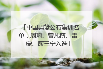 中国男篮公布集训名单，周琦、曾凡博、雷蒙、廖三宁入选