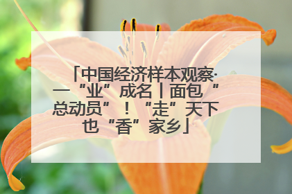 中国经济样本观察·一“业”成名丨面包“总动员”！“走”天下也“香”家乡