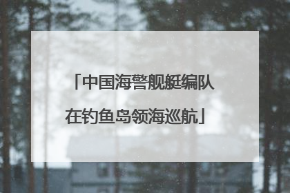中国海警舰艇编队在钓鱼岛领海巡航