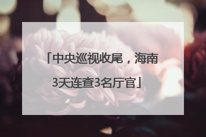 中央巡视收尾，海南3天连查3名厅官