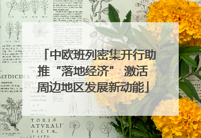 中欧班列密集开行助推“落地经济” 激活周边地区发展新动能