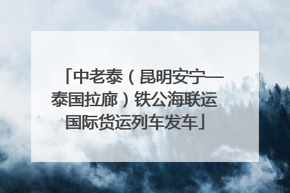 中老泰（昆明安宁—泰国拉廊）铁公海联运国际货运列车发车