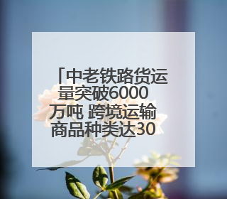 中老铁路货运量突破6000万吨 跨境运输商品种类达3000余种