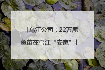 乌江公司：22万尾鱼苗在乌江“安家”