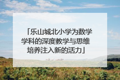 乐山城北小学为数学学科的深度教学与思维培养注入新的活力