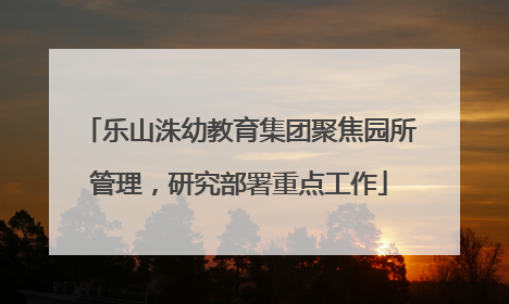 乐山洙幼教育集团聚焦园所管理，研究部署重点工作