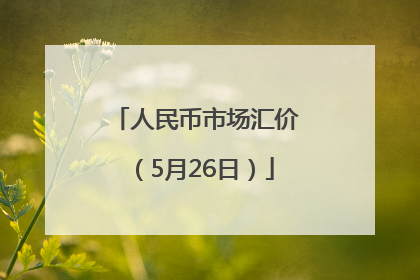 人民币市场汇价（5月26日）