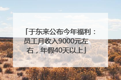 于东来公布今年福利：员工月收入9000元左右，年假40天以上