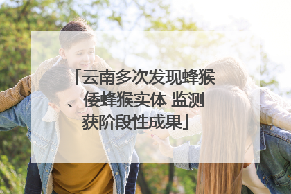 云南多次发现蜂猴、倭蜂猴实体 监测获阶段性成果