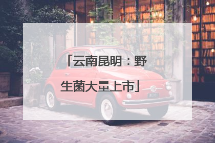 云南昆明：野生菌大量上市