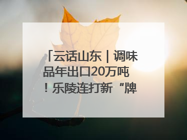云话山东｜调味品年出口20万吨！乐陵连打新“牌”助力企业出海