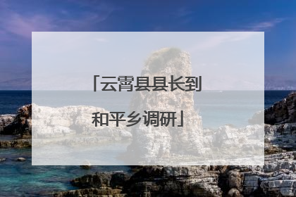 云霄县县长到和平乡调研