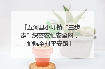 五河县小圩镇“三步走”织密农忙安全网，护航乡村平安路