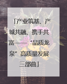 产业筑基、产城共融、携手共富——“品质龙泉”高质量发展三部曲