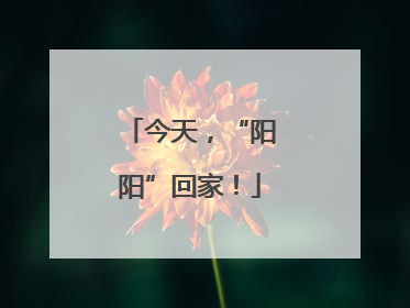 今天，“阳阳”回家！