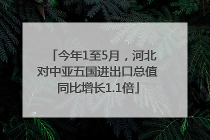 今年1至5月，河北对中亚五国进出口总值同比增长1.1倍
