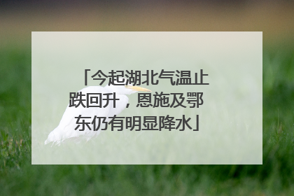 今起湖北气温止跌回升，恩施及鄂东仍有明显降水