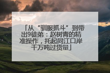 从“驯服抓斗”到带出9徒弟：赵树青的精准操作，托起同江口岸千万吨过货量