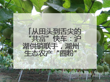 从田头到舌尖的“共富”快车：沪湖供销联手，湖州生态农产“圈粉”大上海