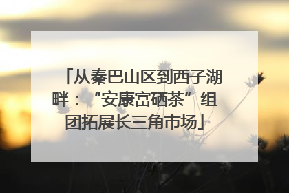 从秦巴山区到西子湖畔：“安康富硒茶”组团拓展长三角市场