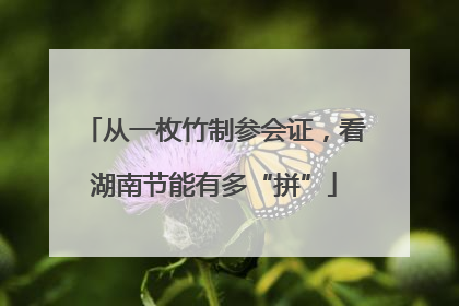从一枚竹制参会证，看湖南节能有多“拼”