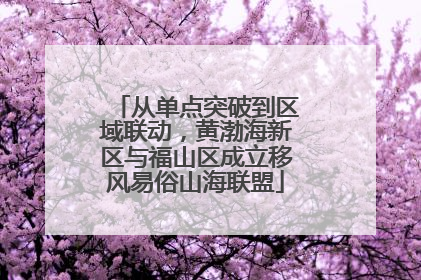 从单点突破到区域联动，黄渤海新区与福山区成立移风易俗山海联盟