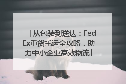从包装到送达：FedEx重货托运全攻略，助力中小企业高效物流