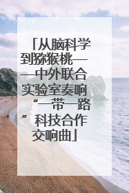 从脑科学到猕猴桃——中外联合实验室奏响“一带一路”科技合作交响曲