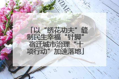 以“绣花功夫”缝制民生幸福“针脚” 宿迁城市治理“十项行动”加速落地