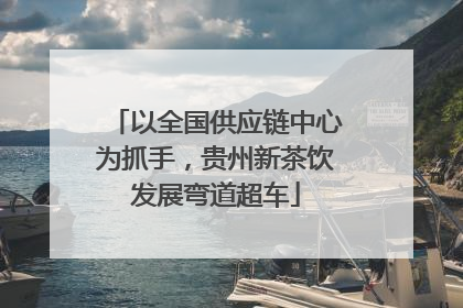 以全国供应链中心为抓手，贵州新茶饮发展弯道超车