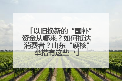 以旧换新的“国补”资金从哪来？如何抵达消费者？山东“硬核”举措有这些→