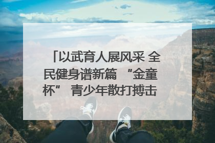 以武育人展风采 全民健身谱新篇 “金童杯” 青少年散打搏击邀请赛圆满落幕