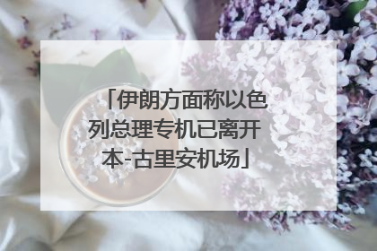 伊朗方面称以色列总理专机已离开本-古里安机场