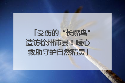 受伤的“长嘴鸟”造访徐州沛县！暖心救助守护自然精灵