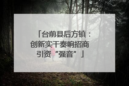 台前县后方镇：创新实干奏响招商引资“强音”